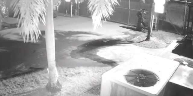 Image from video showing a man wearing black garbage bags as he torched garbage trucks at a Florida waste facility.