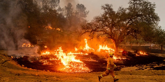 In this Oct. 1, 2020, file photo, a firefighter runs past flames while battling the Glass Fire in a Calistoga, Calif., vineyard.