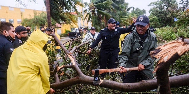 Firemen remove a tree toppled by Hurricane Delta in Cancun, Mexico, early Wednesday, Oct. 7, 2020.
