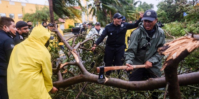 Firemen remove a tree toppled by Hurricane Delta in Cancun, Mexico, early Wednesday, Oct. 7, 2020.
