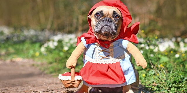 "Baby Red Riding Hood" wasn't necessarily trending this year, but this was too beautiful not to share.