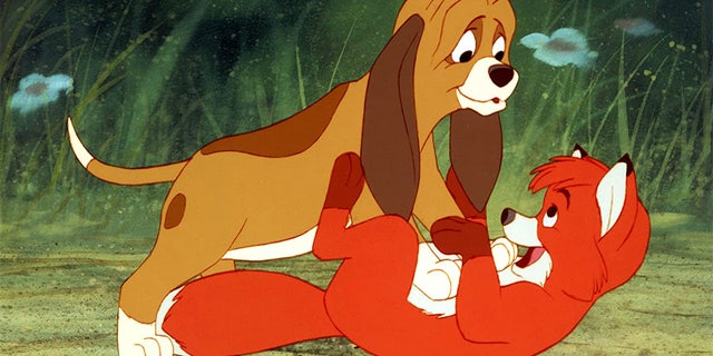 A rescue fox and a bulldog have made the 1981 animated movie "The Fox and the Hound" (pictured) come to life in the Isle of Wight in England. 