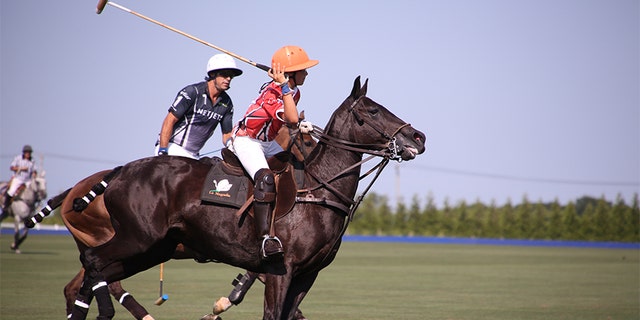 Nacho Figueras misses the competition of polo.