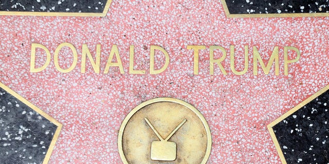 Donald Trump's star of the Hollywood Walk of Fame. 