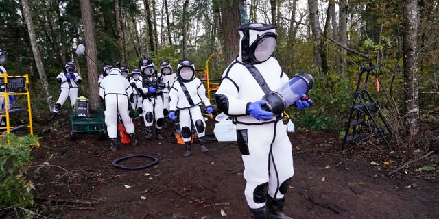 Sven Spichiger, Washington State Department of Agriculture managing entomologist, walks with a canister of Asian giant hornets vacuumed from a nest in a tree behind him Saturday, Oct. 24, 2020, in Blaine, Wash. (Associated Press)