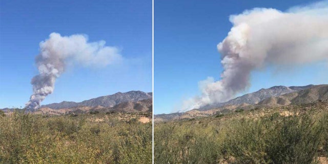 Horse Fire via Arizona State Forestry Twitter