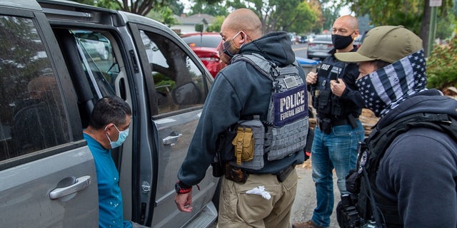 ICE detained more than 100 illegal immigrants in a five-day operation in California. (ICE/Michael Johnson)