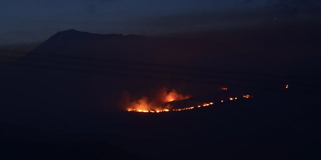 Firefighters battling blaze on Mount Kilimanjaro, unbiased news without politics 