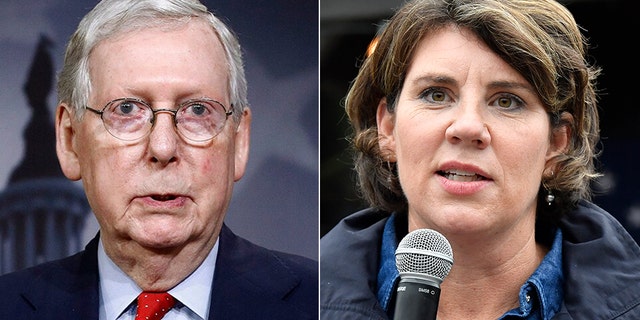 Senate Majority Leader Mitch McConnell, R-Ky., Resisted a challenge from well-funded Democrat Amy McGrath.