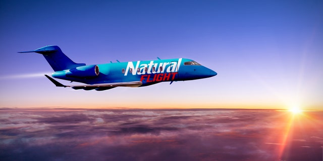 Natural Light will be giving away a free "flight to nowhere" on a private jet to its contest winner and three of his or her friends. (Natural Light)
