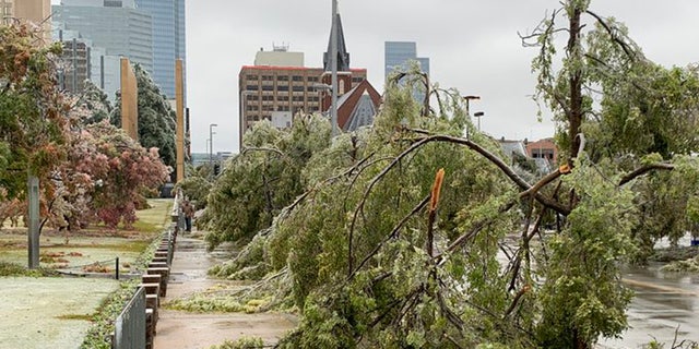 Trees at the Oklahoma City National Memorial &amp; Museum were damaged from the ice storm that caused widespread problems across Oklahoma on Tuesday, Oct. 27, 2020.