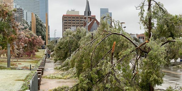 Trees at the Oklahoma City National Memorial & Museum were damaged from the ice storm that caused widespread problems across Oklahoma on Tuesday, Oct. 27, 2020.