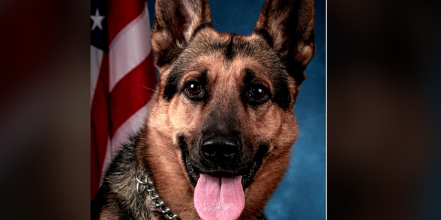 K-9 Balu (Port Authority Police Benevolent Association Inc)