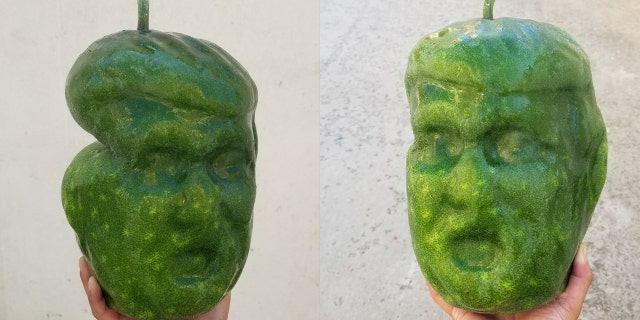 Steven Ding claims his pumpkins, peppers, and white gourds shaped to look like President Trump have been the cream of the crop as U.S. voters cast their ballots.