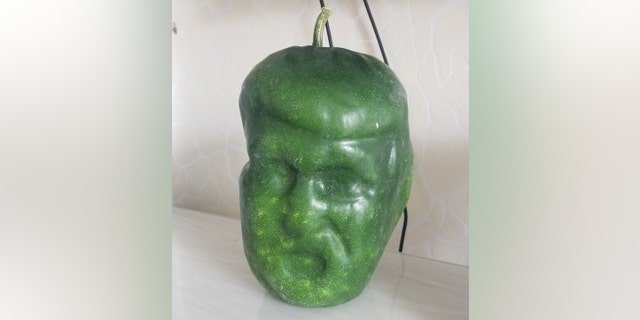 "Most people have never seen anything like it before,” Ding explained.