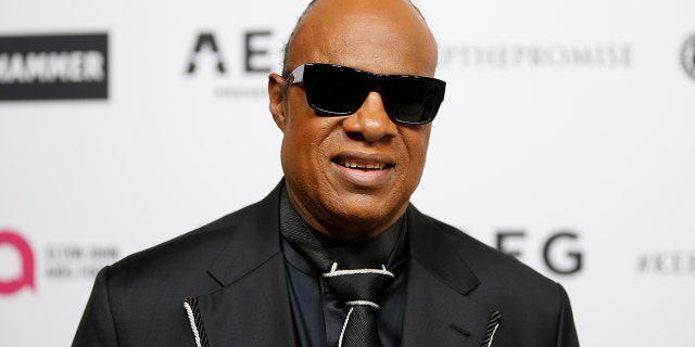 Stevie Wonder called on Joe Biden and Kamala Harris to establish a truth commission in the United States.