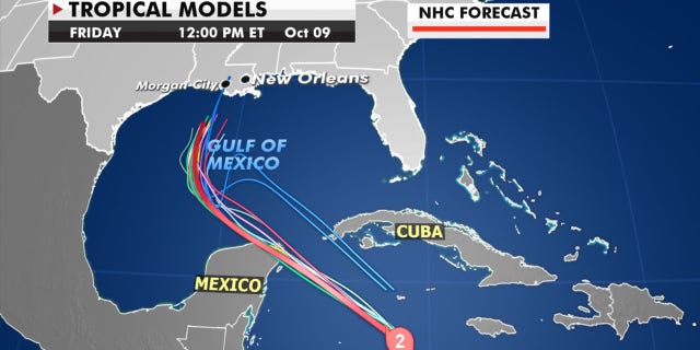 Forecast models showing the track of Hurricane Delta