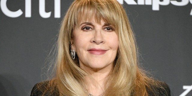 Stevie Nicks feels that 'time is being stolen from' artists as they wait for the coronavirus pandemic to end. (Photo by Dia Dipasupil/FilmMagic)