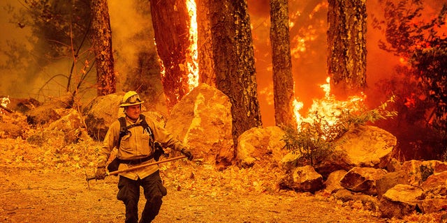 A firefighter walks a path as the Glass Fire burns along Highway 29 in Calistoga, Calif., on Thursday, Oct. 1, 2020.