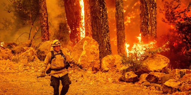 A firefighter walks a path as the Glass Fire burns along Highway 29 in Calistoga, Calif., on Thursday, Oct. 1, 2020.