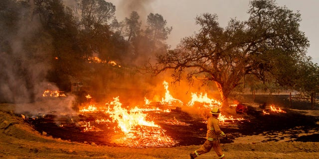 A firefighter runs past flames while battling the Glass Fire in a Calistoga, Calif., vineyard Thursday, Oct. 1, 2020.