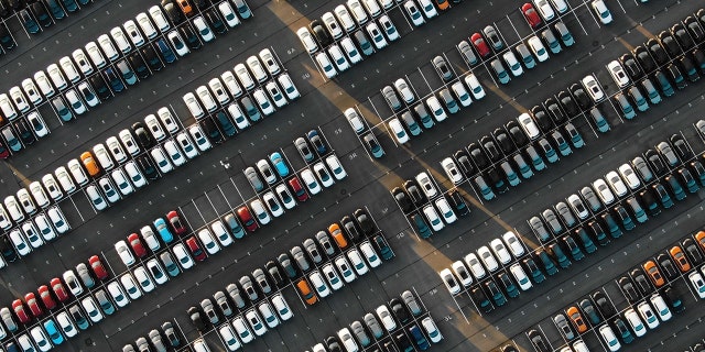 iStock/Elena Perova