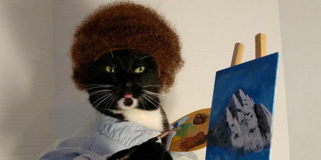 A Washington man has revealed the tricks of the trade for dressing up his fierce felines in elaborate costumes.