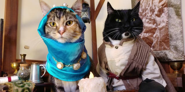 Following Nak’s passing two years ago, Freyu's cats Fawkes and Pike have valiantly carried the torch by rocking the cosplay costumes, Freyu said.