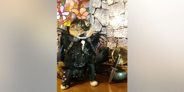 The pets' owner didn’t disclose, however, if the cats play by the true rules of cosplay, and imitate the characters they’re dressed as.  