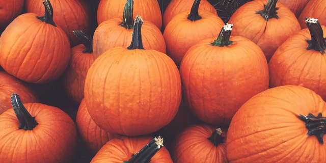 A pile of fall harvest pumpkins ahead of Halloween. Every day in the month of October, one mom recommends that each family member recall something for which they are grateful — and write it down on the pumpkin!