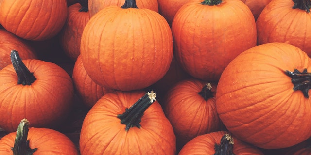 A pile of fall harvest pumpkins ahead of Halloween. Every day in the month of October, one mom recommends that each family member recall something for which they are grateful — and write it down on the pumpkin!