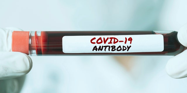 A nationwide study in France estimated that less than 5% of the population had coronavirus antibodies by mid-May.<br>
(iStock)