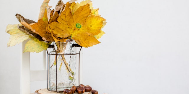 A California grocer is selling bouquets of fall leaves for $15 a pop to San Franciscans famished for foliage this year.