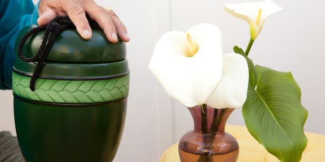 Cremation box and flowers in a vase (iStock)