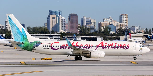 Simeon Wilson, of New York, claims he was arrested by U.S. Customs agents after someone planted cocaine in his bag while it was "in the sole custody of Caribbean Airlines," his lawyer said in a legal filing.