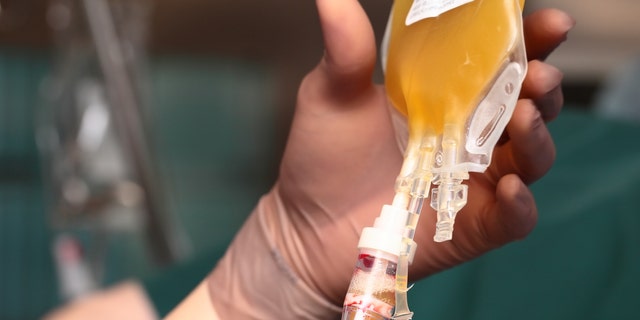 Plasma from recovered COVID-19 cases is transfused to critically ill COVID-19 patients, with the hope that the antibodies will help the patient fight or neutralize the disease. (iStock)