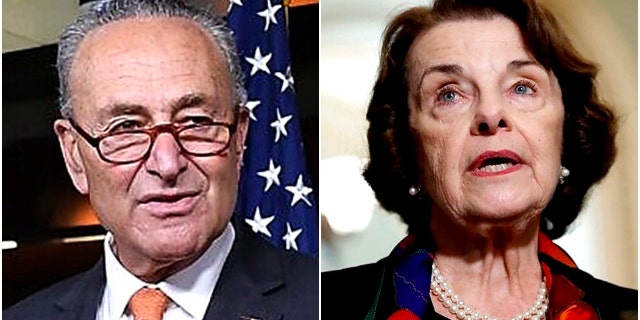 Senate Minority Leader Chuck Schumer says he had a "long and serious talk" with fellow Democrat Sen. Dianne Feinstein.