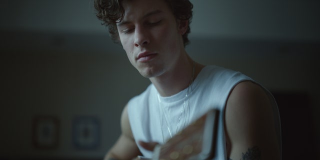 'Shawn Mendes: In Wonder' is coming to Netflix in November 2020.