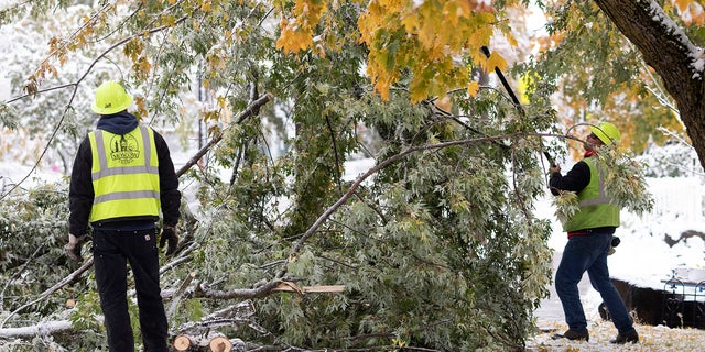 Branches broke off of trees throughout Idaho over the weekend after wet snow fell on trees that haven't lost their leaves yet.