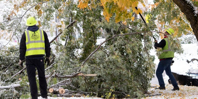 Branches broke off of trees throughout Idaho over the weekend after wet snow fell on trees that haven't lost their leaves yet.