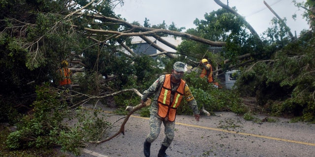Soldiers clear trees toppled by Hurricane Delta in Tizimin, Mexico, Wednesday, Oct. 7, 2020.