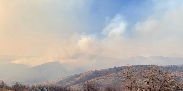 Fire Canyon Fire photo fr. Utah DWR Twitter
