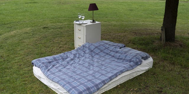 The “Passion Squad” YouTube channel hosts dropped a blanket-covered mattress and bedside table beneath a tree in the middle of a north London field
