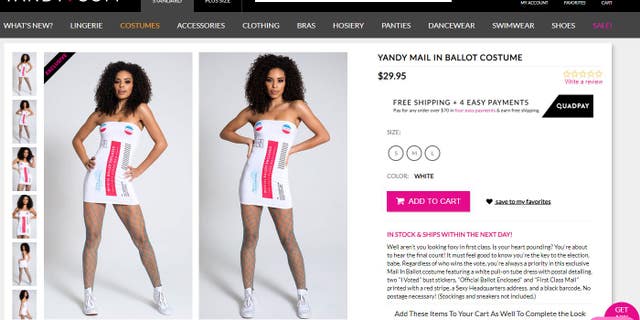 The "official ballot" costume is made of a white tube dress with a "sexy headquarters address" printed on it.