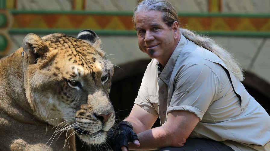 'Tiger King' saga: Will more exotic animal zoo owners face charges?