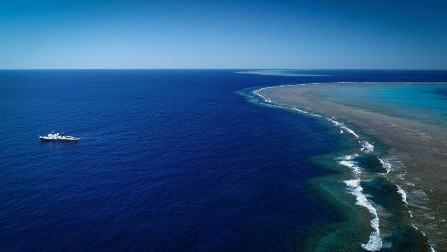 Coral reef the size of the Empire State Building found off Australia's coast