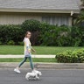 ‘GITA GITA GITA!’ Forget about Marcia, Taryn Manning takes a stroll in front of the Brady Bunch House with ‘the gita robot’ in Los Angeles, Calif.