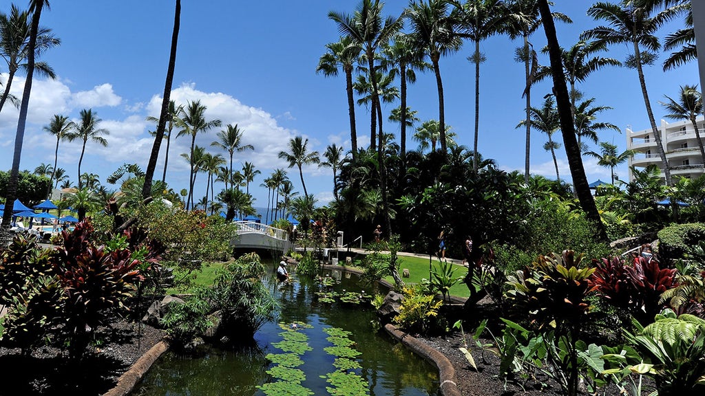 State officials jet off to lavish Hawaii getaway after imposing new lockdowns