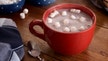 Flavanols in hot chocolate boost brain power, improve cognitive ability, small study suggests