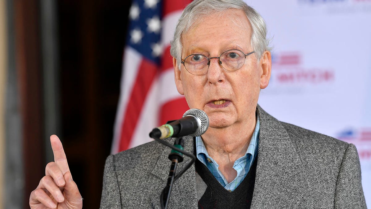 FILE - In this Oct. 28, 2020, file photo, Senate Majority Leader Mitch McConnell, R-Ky., speaks to supporters in Lawrenceburg, Ky. (AP Photo/Timothy D. Easley, File)